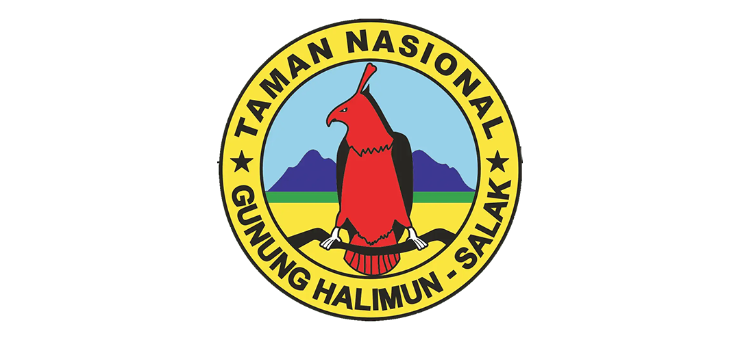 tnghs-1